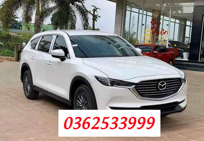 mazda cx 8 2019 (1) (1)
